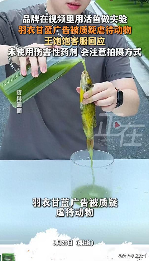 王饱饱用活鱼做实验展示宣传被质疑虐待动物,客服回应