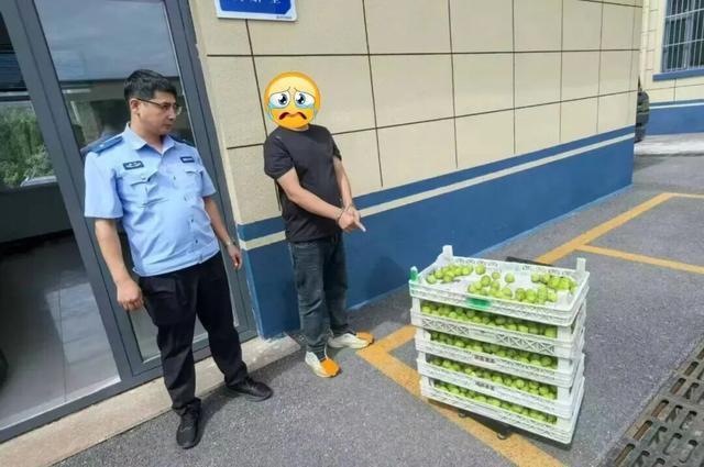男子潜入果园盗果被抓 夜间巡逻擒获窃贼