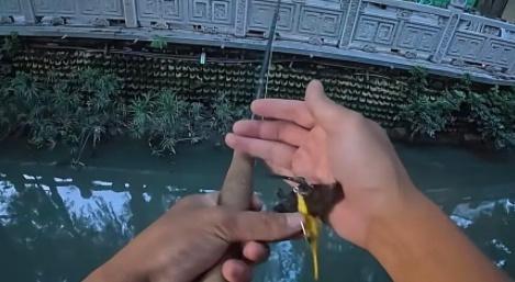 男子钓鱼意外钓到蝙蝠