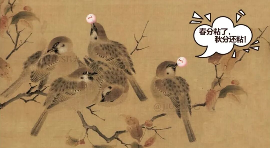 8998d2e940ab4d6690345fcd8cbf34dd_427ca155.png