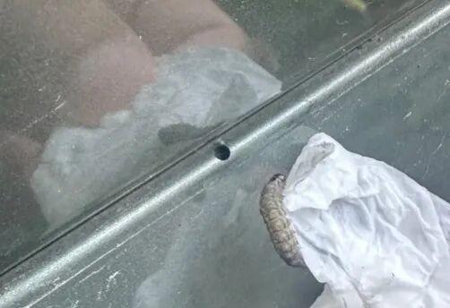 车上莫名其妙出现小圆洞