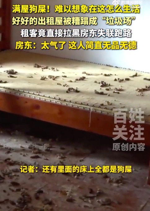 男子租房3年留满屋垃圾狗粪跑路 律师回应