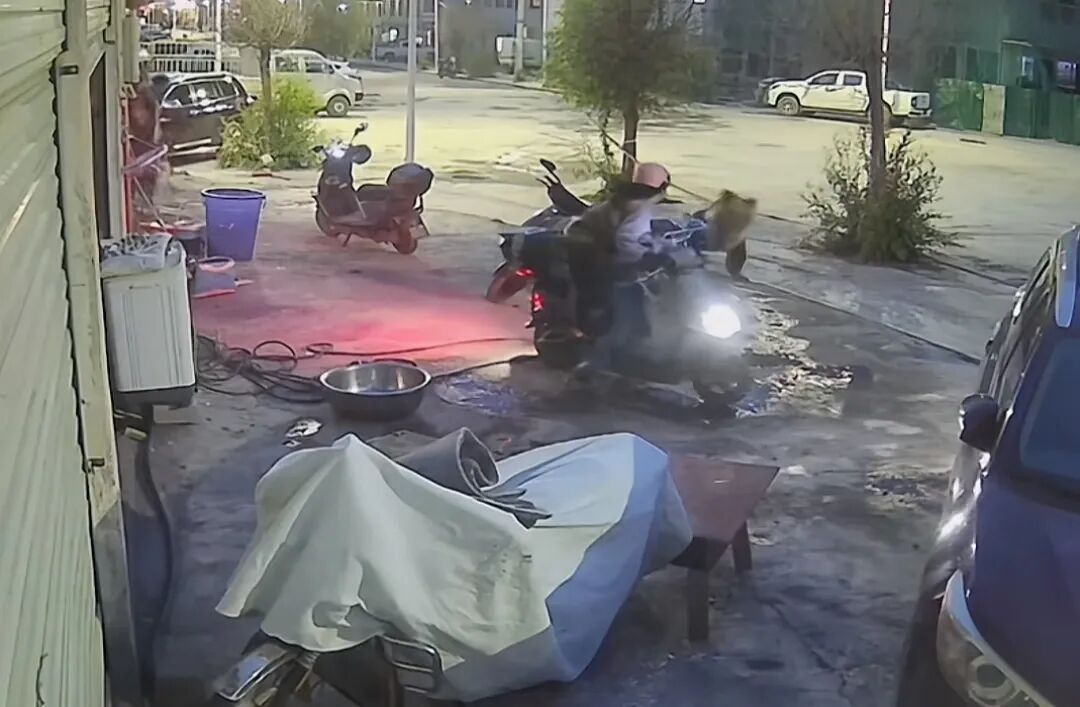西藏一对母子骑电动车被藏马熊追赶,孩子尖叫引出附近居民帮忙驱赶 当地回应:经过核实人都没事