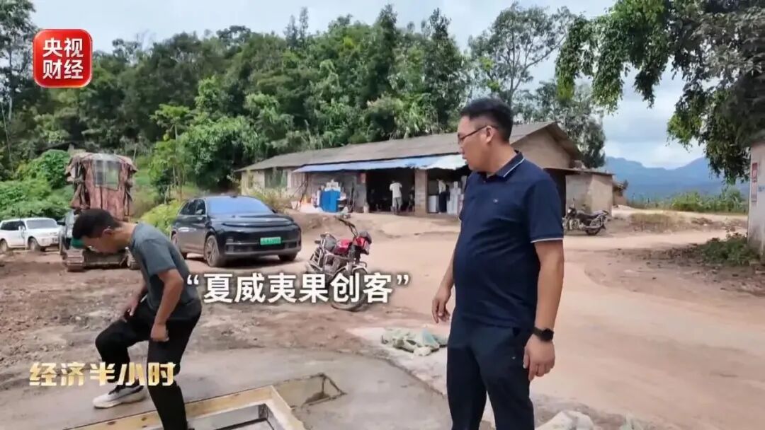 爆单!全球三分之一夏威夷果,产自中国这个小城!