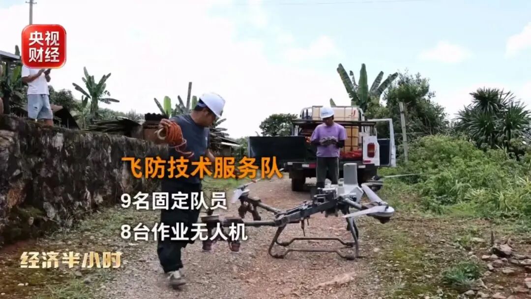 爆单!全球三分之一夏威夷果,产自中国这个小城!