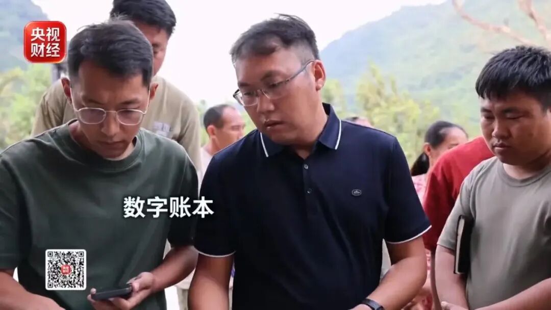 爆单!全球三分之一夏威夷果,产自中国这个小城!