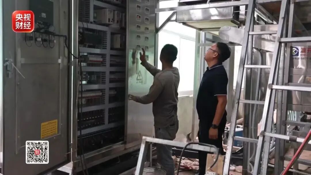 爆单!全球三分之一夏威夷果,产自中国这个小城!