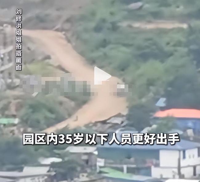 因超35岁被买一送一卖到电诈园区 滞销货的生死逃亡