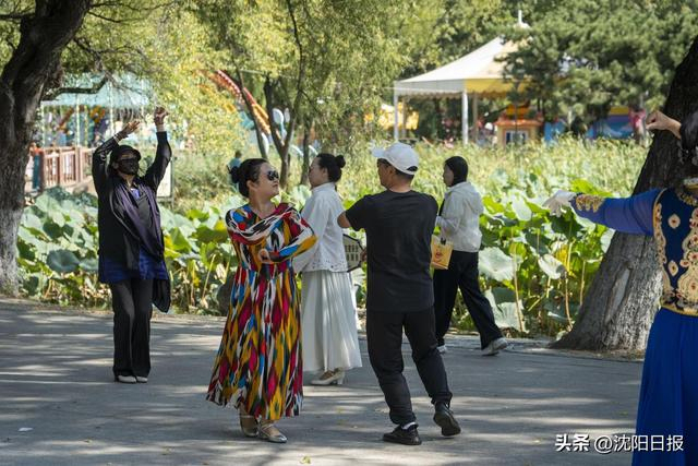 沈阳北陵红墙撞上万株秋菊 秋日秘境惊艳亮相