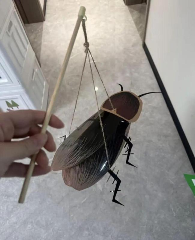 广东人的灯笼 “蟑”灯结彩