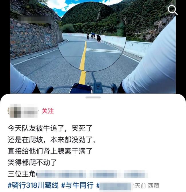 3名骑行者被野牦牛追赶半分钟