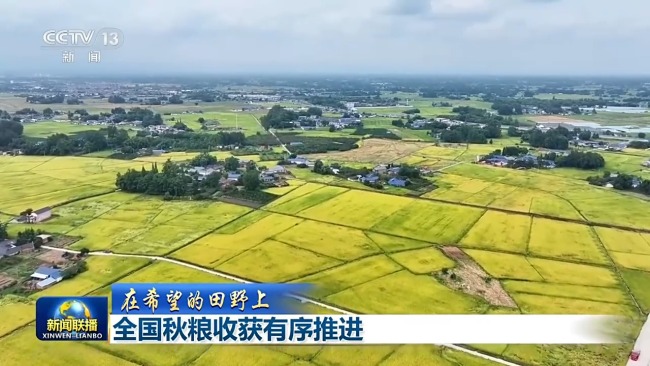 全国秋粮收获有序推进