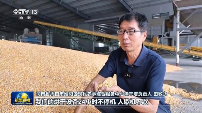 全国秋粮收获有序推进 多举措抢收保丰收