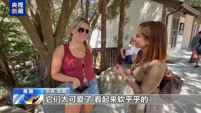美民众热烈期盼大熊猫重返亚特兰大 兴奋之情溢于言表