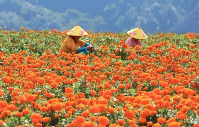 中秋热门旅游城市TOP10揭晓 秋色斑斓待客来