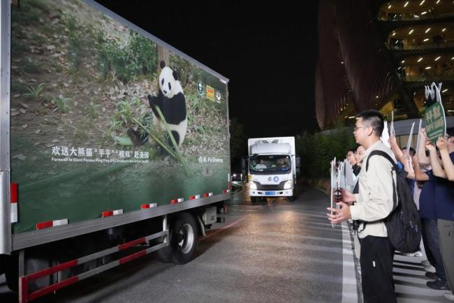 大熊猫平平福双启程赴美 开启十年旅居生活