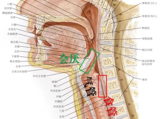 男子喝了几口隔夜鱼汤差点窒息 几口汤引发生死危机
