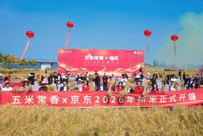 2026年首批五常大米启运全国 产量创历史新高