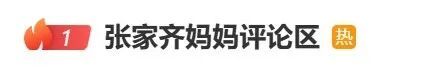 张家齐妈妈家书