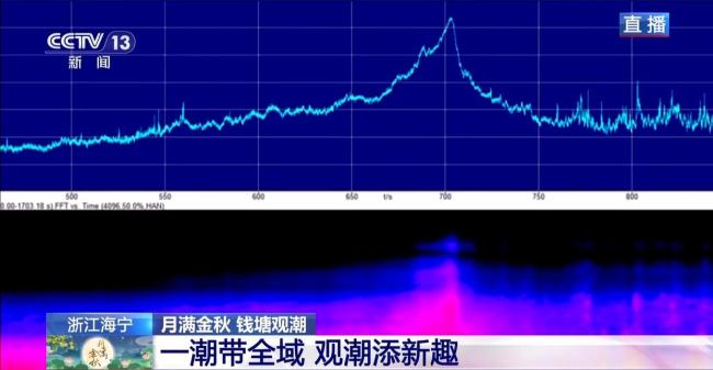 钱塘潮迎来最佳观赏期