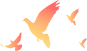catch_6ab0875ee1b52_8617ff72.png