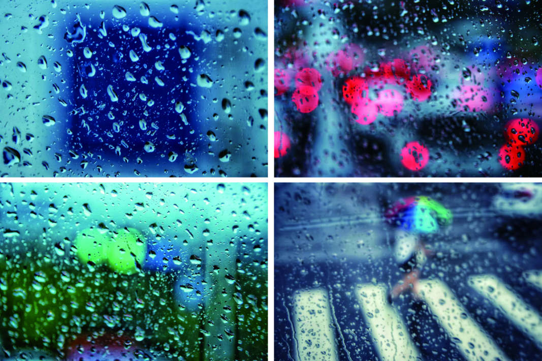 catch_6a98ca8137e40_399bf08c.png