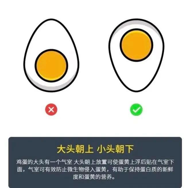 一家三口吃清洗过的鸡蛋后集体中毒 水洗破坏保护膜