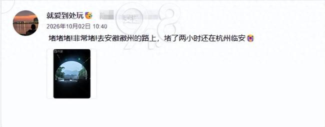有车主称回程或弃车打飞的
