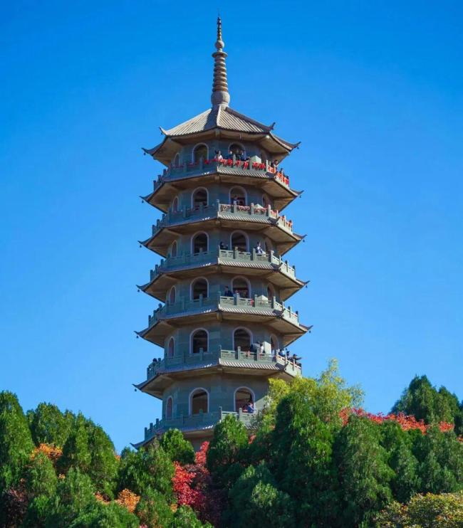 国庆假期第三日济南文旅持续火热 夜经济与亲子游受追捧