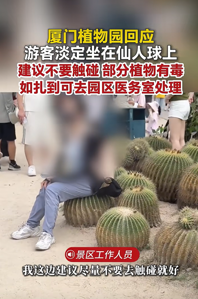 游客淡定坐仙人球 景区建议勿触碰植物
