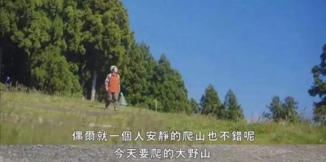 反向旅游依然被价格背刺 小众城市也难逃涨价潮