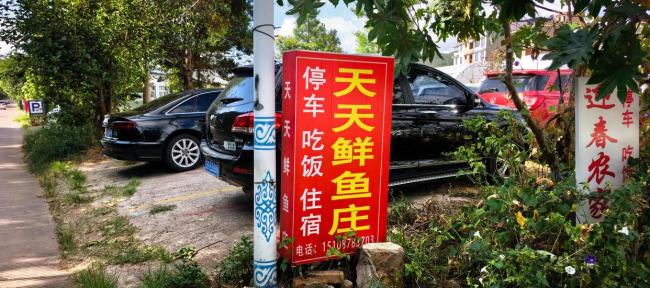 官方:抚仙湖景区石锅鱼多是养殖鱼 游客需仔细甄别
