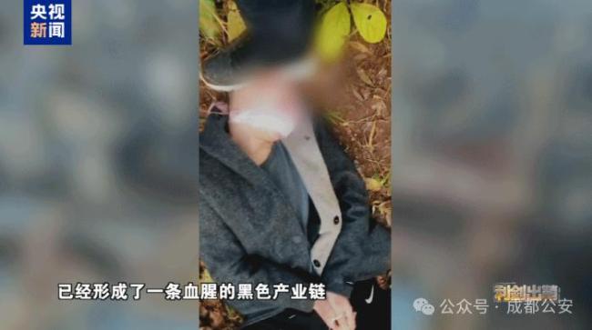 有10万民警赴中缅边境打击涉我犯罪 铲除电诈毒瘤行动纪实