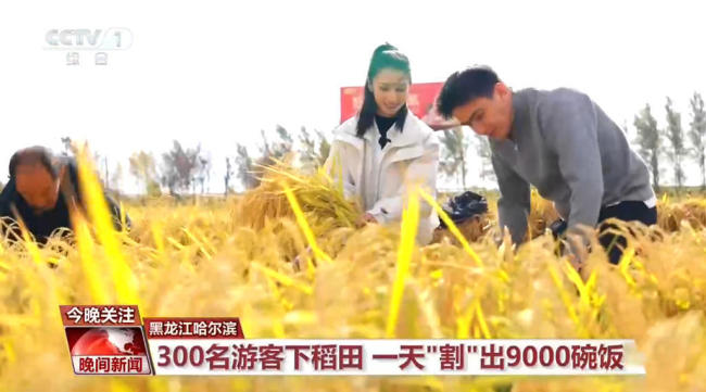 数说假日中国|出游重“体验” 参与感满满