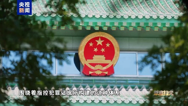 专案组:获取证据办成铁案 血债血还