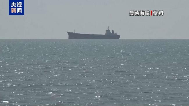 也门政府军说控制曼德海峡是真的吗
