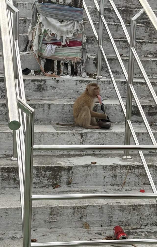 假期“纯过日子”挺好 享受简单平静的快乐