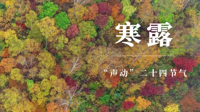 “声动”二十四节气·寒露