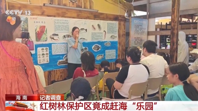 地笼泛滥 红树林保护区竟成赶海“乐园”！