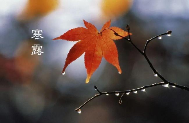寒露时节注意心脑血管和呼吸道防护!医生提醒:做好这几件事,平稳度过深秋