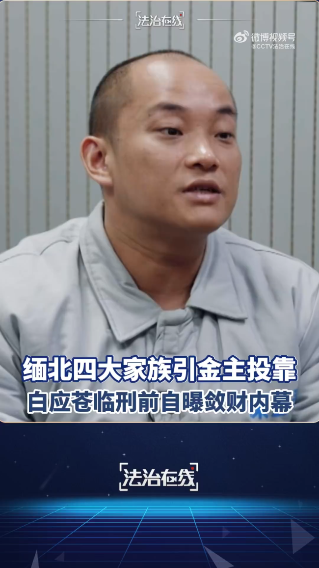白应苍坦言一个资金盘可敛20亿