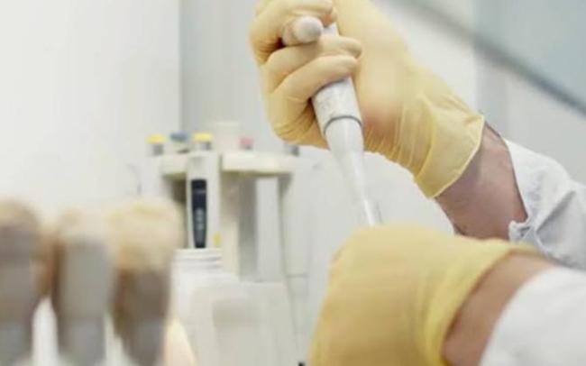 俄罗斯真的暴发鼠疫？28岁女研究员死于不明肺炎 研究所意外引关注