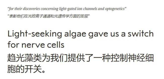 今年首个诺贝尔奖颁给了“为大脑装开关”的人 光遗传学开启新阶段