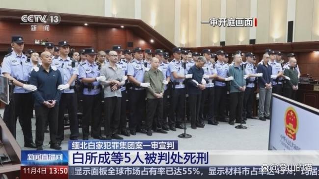 缅北电诈园为什么叫人间地狱 黑暗炼狱曝光
