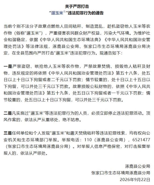 严厉打击遛玉米违法犯罪行为