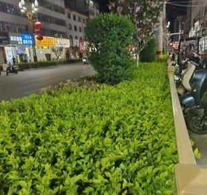 最后6分钟卡点下高速怒省300元 车主极限操作省钱记