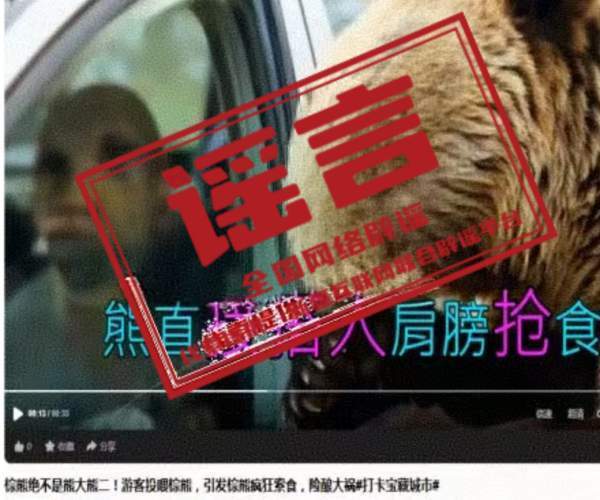 网传喀纳斯棕熊索食系AI编造 虚假内容引发关注