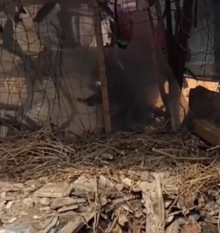 楼顶藏坟挖出尸骨?警方:系住户捏造