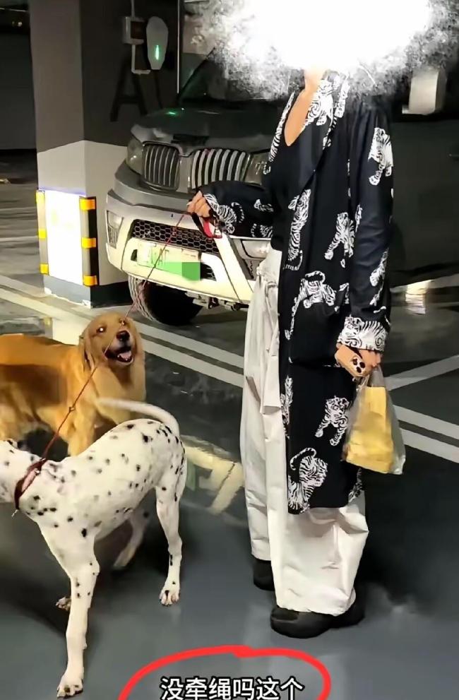 网曝金毛不牵绳扑向抱娃女子