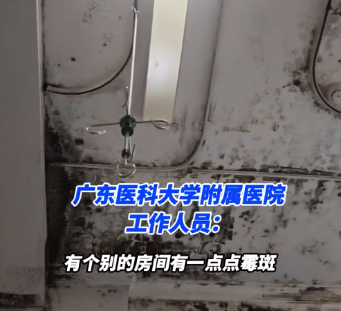 病房大面积霉菌医院称不影响健康 卫健局回应